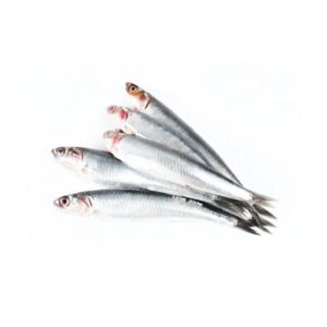 MODA Anchovy - Hamsi