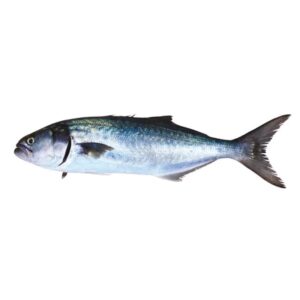 MODA Blue Fish - Lufer