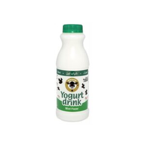 KAROUN Yogurt Drink Mint
